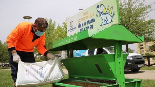 Denizli Büyükşehir can dostları unutmadı