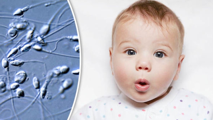 Sperm ve cilt hücreleri bir gün bebeklerin yaratılması için kaynak olabilir