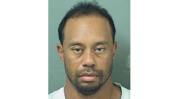 Tiger Woods; Alkol, tutuklamaya dahil değil