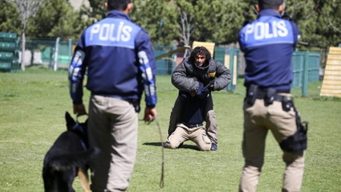 Emniyetin hassas burunları