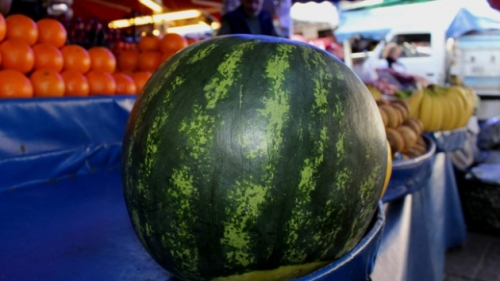 İran'dan karpuz ithalatı yapılmasını istemiyoruz