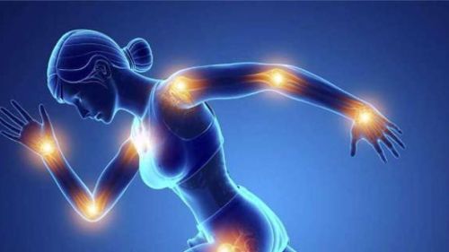 Eklem Sağlığına Yönelik Seçimde Doğru Kolajen Tipi Eklemler İçin En İyi Kolajen Markası