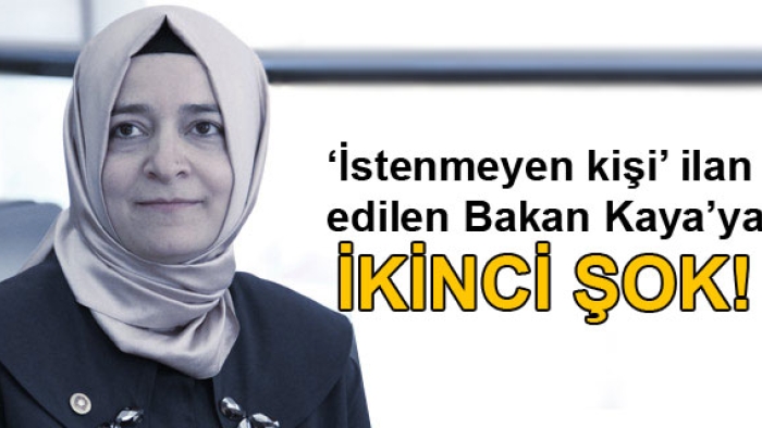 Bakan Kaya, diğer Schengen ülkelerine de giremeyecek