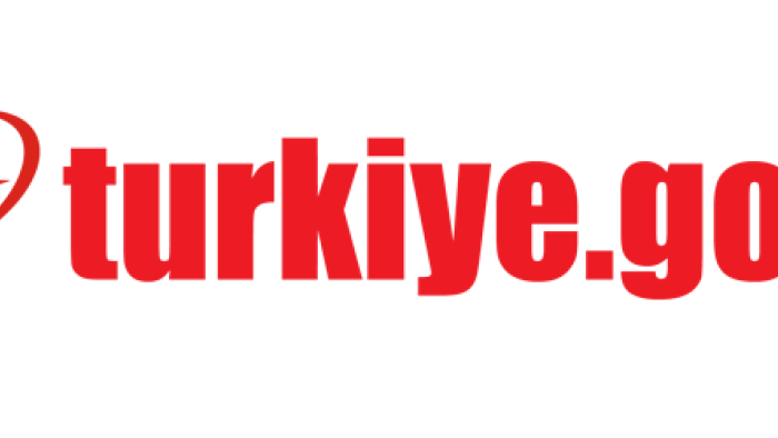E-Devlet Nedir? E-Devlet Giriş ve E-Devlet Şifresi Alma