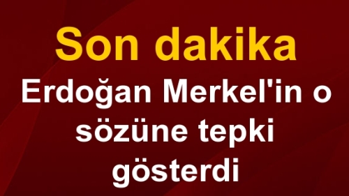 Erdoğan, Merkel'in 'İslami terör' tabirine tepki gösterdi