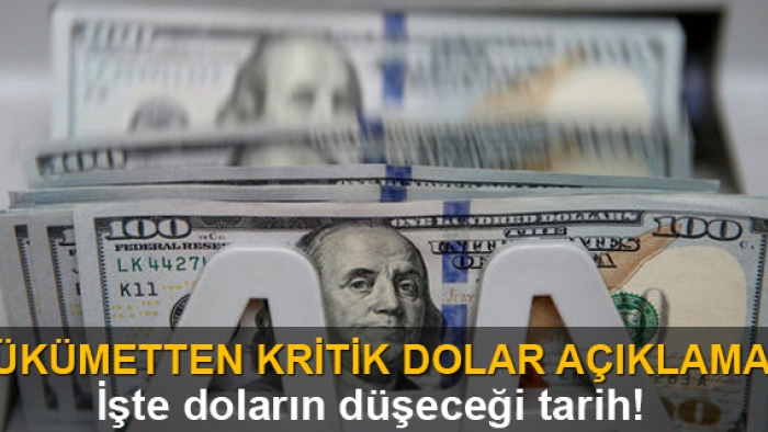 Hükumetten kritik dolar açıklaması! İşte doların düşeceği tarih