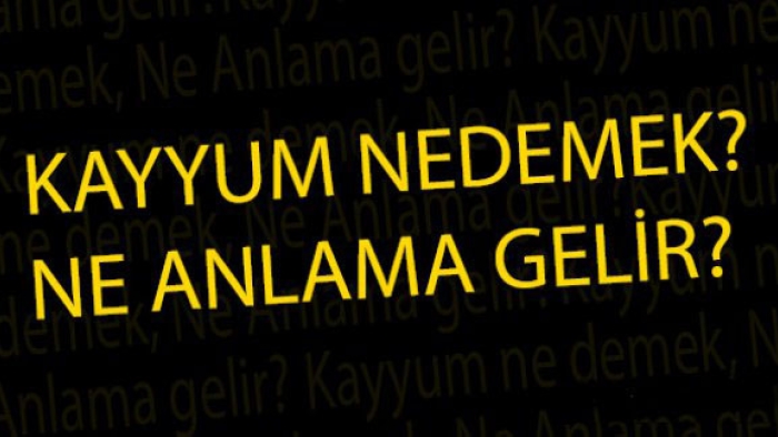 Kayyum nedir? İşte kayyum hakkında bilinmesi gerekenler