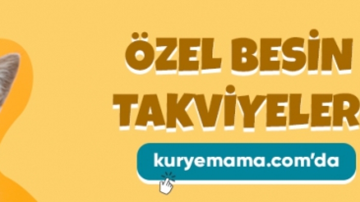 ND Yavru Kedi Köpek Mamaları İndirimli ve Cazip Fiyatlar İle