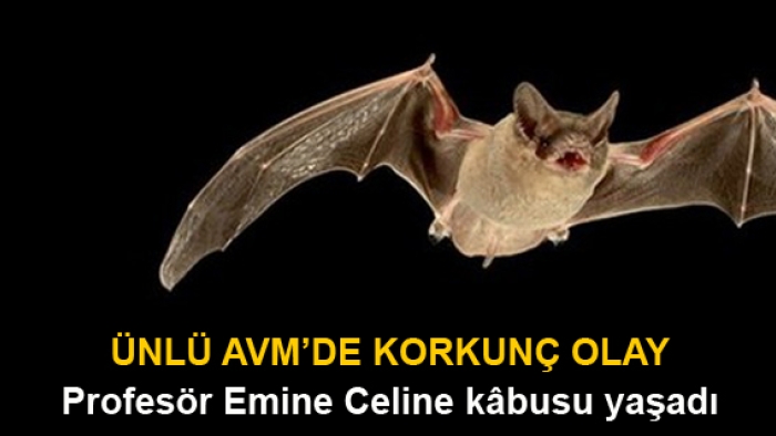 Prefesör Emine Celine kabusu yaşadı